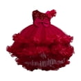 thumbnail image 1 of LOVZFMLL Fille Enfant Été Manches Courtes Volantée Dentelle Col Rond Broderie Maille Princesse Jupe à Nœud, 1 of 3