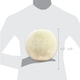 thumbnail image 2 of Cantaloupe, 2 of 4