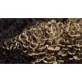 thumbnail image 3 of GSDWIUEW Spores Maitake Dancing Mushrooms Seeds Mycelium Spawn Substrate for Planting, 3 of 8