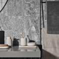 thumbnail image 4 of Blomus 69046 Sono Distributeur de Savon - Taupe, 4 of 4