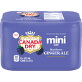 thumbnail image 1 of Canada Dry Blackberry Ginger Ale Cans, 222 mL, 6 Pack, 1 of 6
