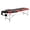Rouge, variante sur HOMCOM Table de Massage Pliable à 3 Sections Salon Professionnel Canapé-Lit pour le Visage