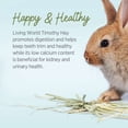 thumbnail image 3 of Living World Timothy Hay for Small Animals 1.36 kg, 3 of 9