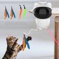 thumbnail image 4 of Cat Teaser Toy,Cat Feather Toy 15 Cat Toy Pet Exercise Toy Ultra Responsive, 4 of 10