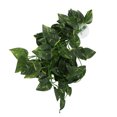 thumbnail image 2 of Simulation Rattan Landscaping, Neatly Cut Edges No Burrs Variety Of Models Hanging Plant False Vine  For Aquariums For Daily For Reptile Boxes For Fish Tanks NFF-81 Conch Leaf, 2 of 8