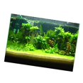 thumbnail image 1 of Milaget 3D Aquarium Universal Landscape Poster Single Sided Background , 122x61cm, 1 of 9