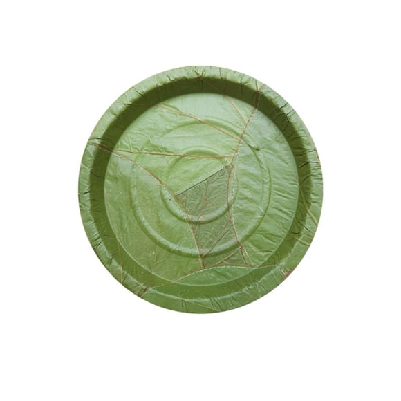 9" Palash-Sal leaf Single use Plates|Natural, biodegradable, backyard compostable, USDA Certified|Parties, Festival, wedding, BBQ Disposable supply|Pack of 50 or 100