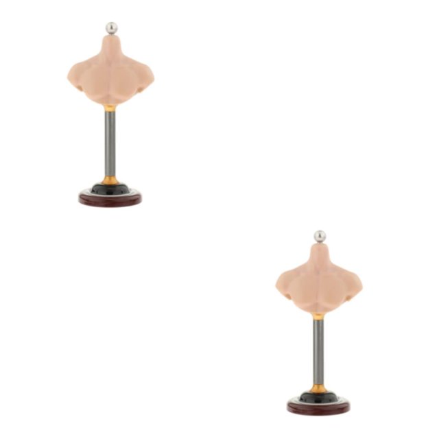 Baohd Sleek and Practical Male Female Bust Stand PVC Model for Wigs Male C 2Set