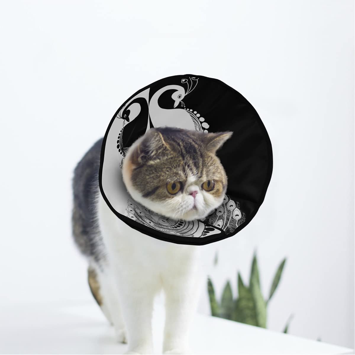 Peacock Soft Cat Dog Recovery Collar Adjustable Cat Cone Wound Healing Protective After Surgery for Cats