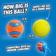 thumbnail image 4 of Chuckit! Ultra Ball 2-Pack Medium Durable Rubber Ball Dog Toy, 4 of 9