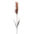 thumbnail image 1 of Vickerman FM224744 44 in. Dark Brown Glitter Reed Spray, 2 Piece - Pack of 72, 1 of 1