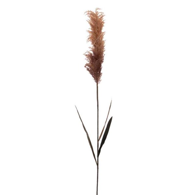 Vickerman FM224744 44 in. Dark Brown Glitter Reed Spray, 2 Piece - Pack of 72