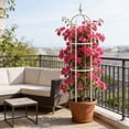thumbnail image 4 of 115cm Climbing Vines Flower Trellises Fiberglass Plants Climbing Bracket Outdoor Courtyard Balcony Climbing Flower Rack Can Be Assembled With Increased Height, 4 of 7
