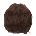 thumbnail image 1 of Perruques pour Cheveux Hommes, Perruque Homme Marron Clair Homme Perruque Courte Marron Perruques Homme Grande Capacité, 1 of 8