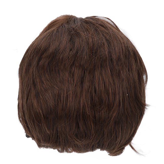 Perruques pour Cheveux Hommes, Perruque Homme Marron Clair Homme Perruque Courte Marron Perruques Homme Grande Capacité