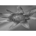 thumbnail image 1 of Ahgly Company Machine Washable Indoor Rectangle Transitional Gunmetal Gray Area Rugs, 4' x 6', 1 of 7