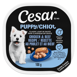 CESAR Puppy Soft Wet Dog Food Classic Loaf in Sauce Chicken & Beef Recipe, 100 g Easy Peel Tray