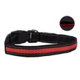 thumbnail image 4 of Collier LED pour Chien, Collier Lumineux Collier Stable Clip en Métal pour Extérieur Rouge, Vert, Bleu, 4 of 8