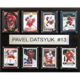 thumbnail image 1 of CandICollectables 1215DATSYUK8C LNH 12 x 15 Po Pavel Datsyuk Detroit Red Wings Plaque de 8 Cartes, 1 of 3