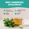 thumbnail image 3 of HANDPICK Sachets de Tisane à la Menthe Verte, 100 Unités, 3 of 9