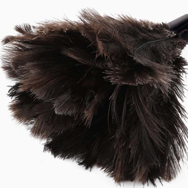 Plumeaux à Plumes, Plumeaux à Plumes Bruns Lavables Mini Plumeau Mini Plumeau avec Poignée Fiable et Durable