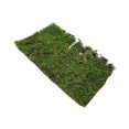 thumbnail image 4 of Milaget Grass Tufts Model DIY Simulation Grass Cluster DIY Scenery Landscape Railway L L, 4 of 9