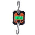 thumbnail image 3 of LCD Hanging Scale, 0.2-100kg Digital Crane Scale Multifunctional  For Hunting Fishing, 3 of 8