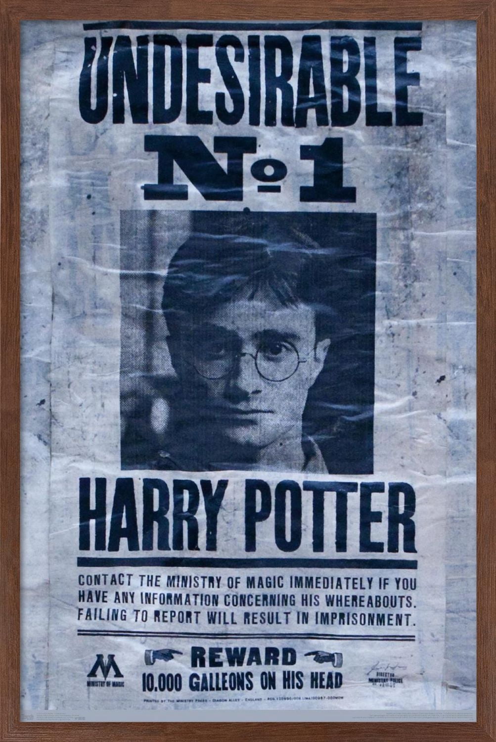 Le Monde des Sorciers : Harry Potter - Indésirable