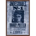 thumbnail image 1 of The Wizarding World: Harry Potter - Undesirable Wall Poster, 22.375" x 34", 1 of 4