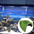 thumbnail image 3 of DOLITY Simuler Rocher Pierre Reptile Cachette Grotte Serpent Tortue Cache Repos Réservoir A, 3 of 9