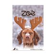 thumbnail image 1 of Zoe Dog Holiday Calendar with Festive Maple Bacon Treats, 1 of 4
