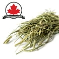thumbnail image 3 of Stoter Farm Timothy Hay 25 lb. Box by Stoter Farms, 100% Canadian Hay for Rabbits Guinea Pigs Chinchilla and Other Small Pets (400oz/11.2kg), 3 of 5