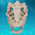 thumbnail image 4 of Aquarium Skull Ornament, Simulation Dinosaur Exquisite Shape Artificial Fish Tank Decor, For Water Plants Decoration, 4 of 8