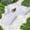 White, variant on Extra Large Reptile Water Dish and Feeding Bowl with Smooth Basking Platform for Aquatic Turtles Geckos and Bearded Lightweight Durable Design