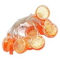 thumbnail image 1 of Fridja Clearance Under 5$ Battery-powered Lemon LED Decorative Light String 1.5 Meters Long 10 String Ligh, 1 of 6