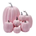 thumbnail image 1 of Abbracc 7Pcs Assorted Artificial Pumpkins Embellishment Photo Props Halloween Decoration Pink, 1 of 9