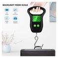thumbnail image 2 of Balance Numérique Portative à Main, 50 kg 10 g, Crochet à Poisson Suspendu, Ruban de Mesure, Écran LCD Rétroéclairé, Haute Précision, 2 of 7