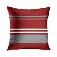 thumbnail image 1 of ZheElen Taie d'Oreiller Résistante aux Rides en Polyester pour Canapé Housse de Coussin Décorative Durable et Facile d'Entretien W0081-19, 1 of 6