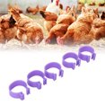 thumbnail image 4 of Poultry Foot Ring, Chicken Foot Ring Wear Resistant Writing Marker Easy To Clean  For Pasture Purple 16mm/0.63in, 4 of 8