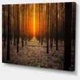 thumbnail image 2 of Halloween Themed Spooky Dark Forest - Oversized Forest Canvas Art, 2 of 3