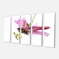 thumbnail image 2 of Passiflora Flower over White - Large Animal Canvas Art Print, 2 of 3