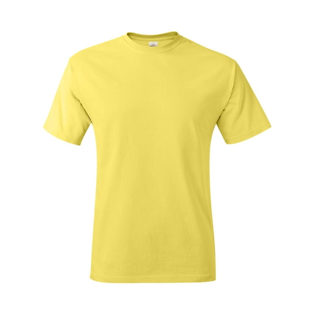 Hanes T-Shirt Authentic-T pour Hommes
