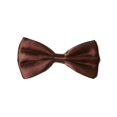 thumbnail image 1 of Pre-tied Bow Tie in Gift Box- Brown, 1 of 1