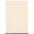 thumbnail image 1 of ECARPET Indoor/Outdoor for Balcony, Patio and Garden Yeta Ivory Rug, 1 of 9