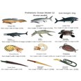 thumbnail image 2 of EASTIN 12pcs/Set Realistic Prehistoric Marine Life Toys  Multi-Color Simulation Nautilus  Trilobite  Cambrian Extinction Organism  Dunkleosteus  Ammonite Fossil Models  Educational Gift F, 2 of 7