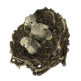 thumbnail image 4 of Realistic Animal Bird Model Figurine Action Figures Playset Kids Educational Birds with nest, 4 of 7