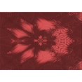thumbnail image 1 of Ahgly Company Tapis d'Intérieur Rectangulaires Transitionnels Rouges Lavables à la Machine, 2 Pieds x 3 Pieds, 1 of 7