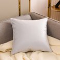 thumbnail image 1 of 2 Pcs Coussin de Taille pour Canapé de Salon, Gris 40*40cm, 1 of 6