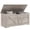 Grey, variant on HOMCOM Storage Chest for Living Room, Storage Bench, 39.4"W, Grey