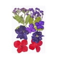 thumbnail image 4 of Iumwxz Colorful Natural Dried Flowers And Embossed Decorative Set home decor Multicolor Plastic Clearance Sales, 4 of 5
